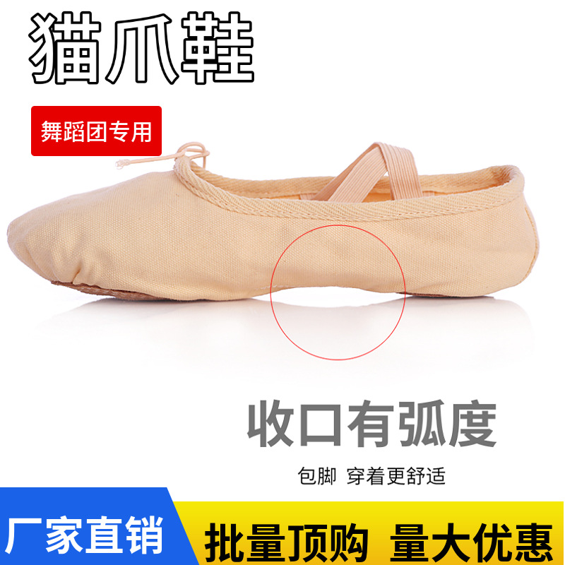 Children's practice shoes for dance troupe girls' ballet dance shoes pink two-sole soft bottom flat cat claw body Classical