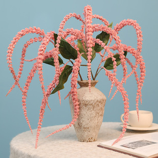 �羳������滨�ٻ��u�ڲݷ���Gֲ�������û�Y���������Ĕz����