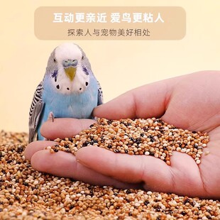 ��ɫ�����B�Z��С���W�^�Bʳ��ϻ�Ƥĵ�����P���B�Z���B
