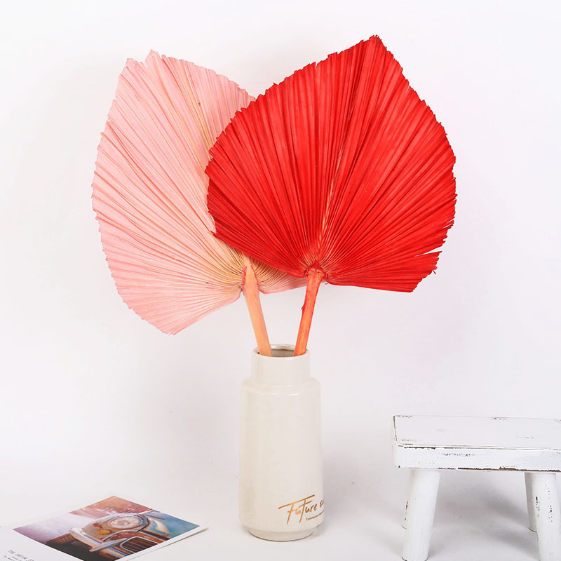 Cross-border spray paint bleached sunflower leaf Guanyin fan cattail…