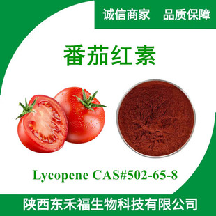 ���Ѽt��96%������ȡ��ˮ�ܷ��Ѽt�ط�Lycopene���Ѽt���� 10g/��