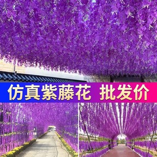 ��c�b��滨�͏d�ٻ����ϻ��پG�~�������ٻ���������؃r��
