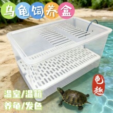 ��̖�����lɫ����������B�е����~�׼Ӝظ��x����аlɫ��