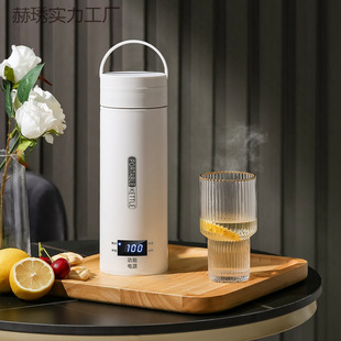 Portable Electric Hot Water Cup, Small Electric Hot Water Cup, Travel and Office All-In-One Water Kettle, Mini Automatic Health Pot Gift