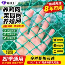 防鸡网养鸡网养殖网菜园围网山鸡网拦鸡网围栏网尼龙网批发