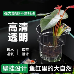 鱼缸水培篮水草种植神器壁挂挺水植物定植篮装饰固定镂空鱼缸挂篮