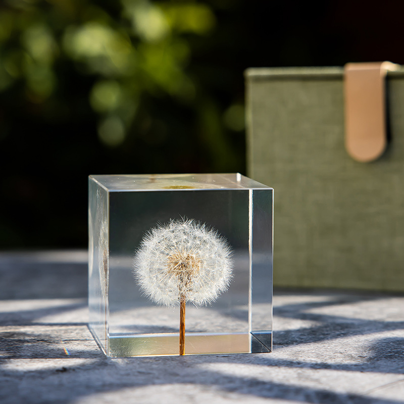 Wholesale Dandelion Crystal Ball Music Box Resin Everlasting Flower Wooden Red Rose Lover's Gift for Her Birthday M2