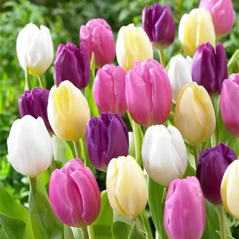 e4f290b6-03ba-43b3-9da4-ed1d160ae06d.jpe