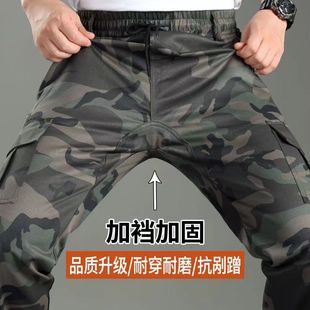 ������ѝ����ʿ���d�Բʹ��bѝ�Lѝ�ڱ�������ĥ��˺�ё������I��