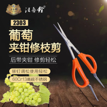 汪吾铨尖头不锈钢葡萄剪 花园修枝稀果专用 家用便携蔬菜园艺剪刀