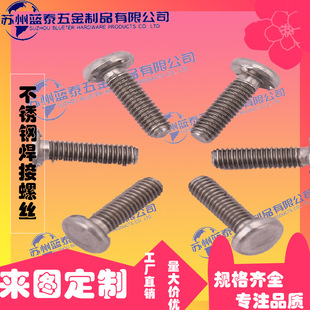 304���P䓶������������GB902.4(PS)�o���c�����ݽz������˨���l