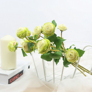 ���滨����ɭ�����ж��^С¶ɏ�����͏d�Ҿӻ�ˇ�Ʒ�b����ٻ�