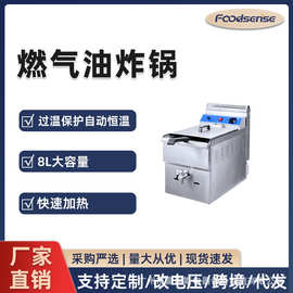 双缸燃气炸炉商用店铺摆摊单缸18升大容量精准控温快速升温油炸锅