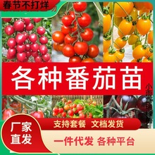 һlļСѷNǧ}Ůt߲˷NѲ