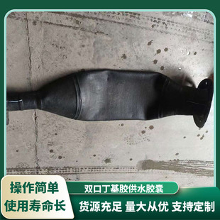 Butyl Rubber Spray Tank Rubber Bladder Pressure Tank Inner Mold Replacement Diaphragm Tank Liner Double-Port Water Supply Capsule