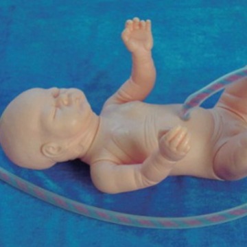 ҽѧ����ģ�� �������������ģ�� ��������������ѵ��ģ��