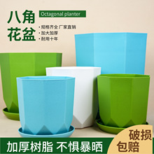 ��ˮ�����Ϙ�֬���豱�W�͏d��������B�Gֲɢβ���lؔ�Ҹ��仨��