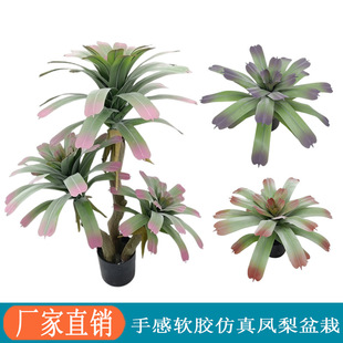 ���R�d�Ꭷ����Gֲ�eˮ�P�������҃��쾰ֲ��������ؙ����[��