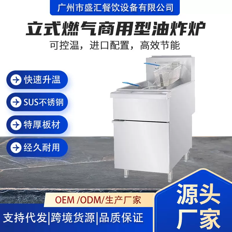 商用立式自动控温燃气油炸炉多功能天然气炸炉酒店餐厅炸鸡薯条炉