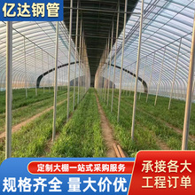 蔬菜种植大棚全套 连栋温室大棚花卉花苗种植暖棚大棚骨架简易棚
