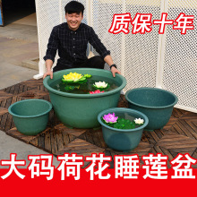 特大号圆形加厚水培无孔荷花盆睡莲碗莲花专用塑料花盆缸家用庭院