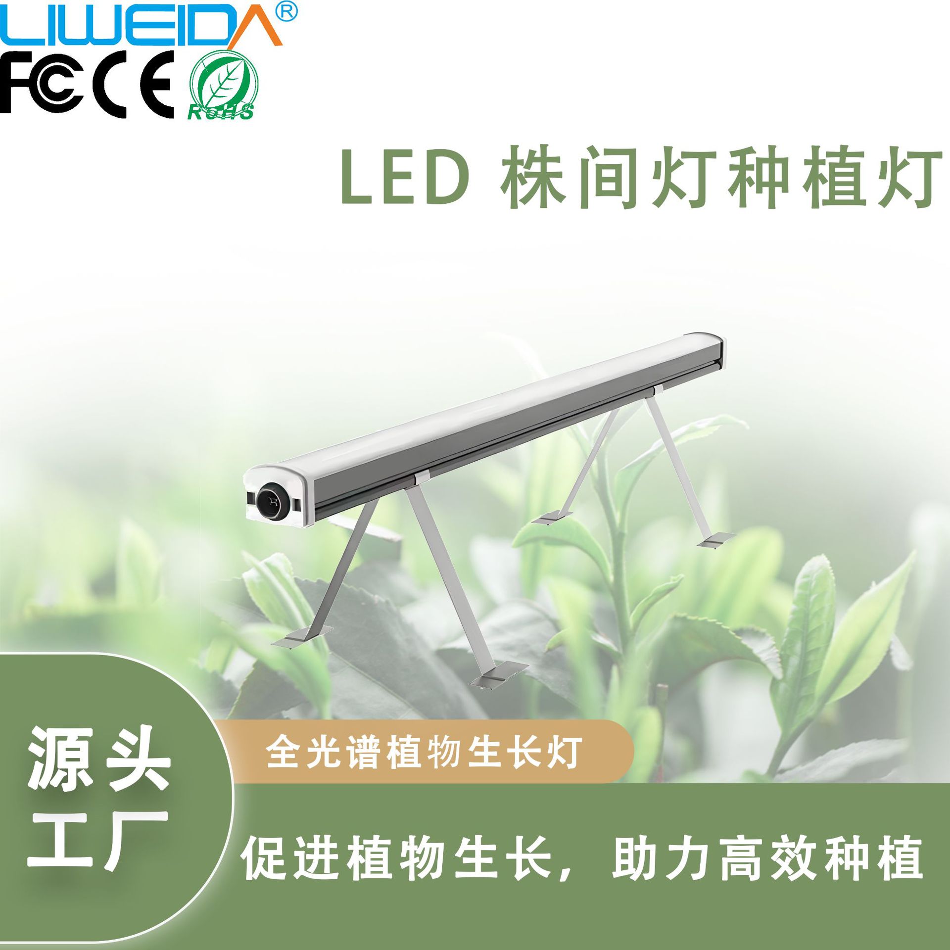 Under the canopy125W���µƵ��ϲ������������Ʒ������ũ����ֲ