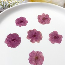 �ѻ��ɻ�Ѻ����ֲ��˱�DIY����������Ϟ�T���z���R�d�羳�ֹ�