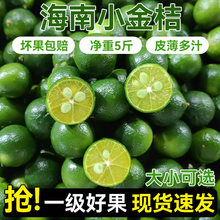 ����С����̲�걡ƤС�����������ۮ���ˮ���������l