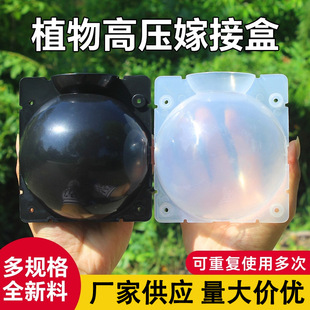 �޽�ֲ��߉���ֳ��������Ǥ�己ֳ�����ψ@�֘�ľ�߉���֦������