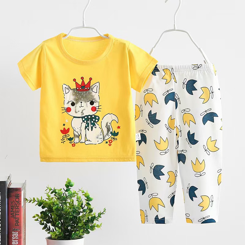Длинная и короткая коронка кота