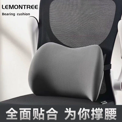 Lumbar Pillow Long-Sitting Seat | Waist support