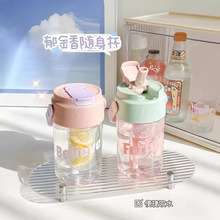 夏季高颜值塑料杯女生ins大容量吸管杯花茶果茶便携茶漏运动水杯