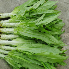 �r�����r�n�S�Gɫ�߲�ʳ���r�aƷ�r�����ؑc�a��ֱ�N5�����n��