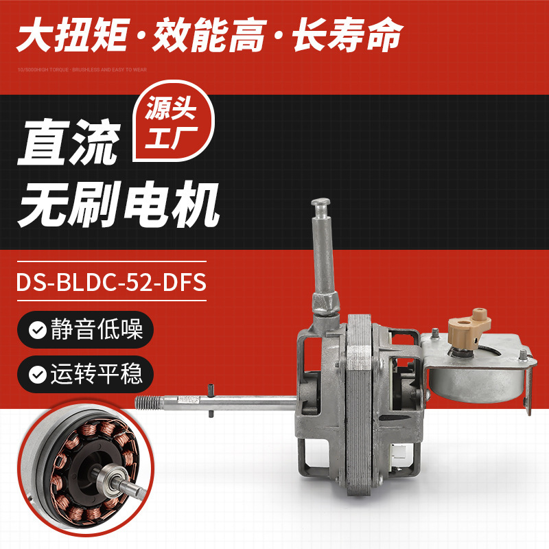 Dc Motor Ds-Bldc-52-Dfs Brushless Motor Aluminum Wire Double Bearing Table Motor Fan Motor Accessories