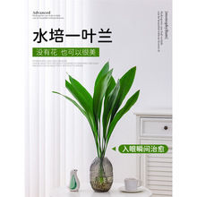 ˮһ~mGֲ҃ļ͏dWtˮBֲB˾G}