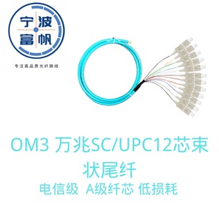 12-core bundle-shaped pigtail OM 30000 m 0.9mm cotton fiber color ribbon-shaped SC/UPC1.5 m