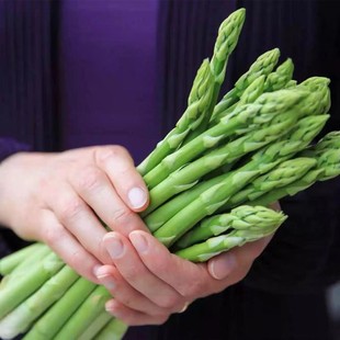 Asparagus seeds four seasons sown perennial green asparagus seeds heat-resistant cold-resistant four seasons seeds purple asparagus seeds balcony