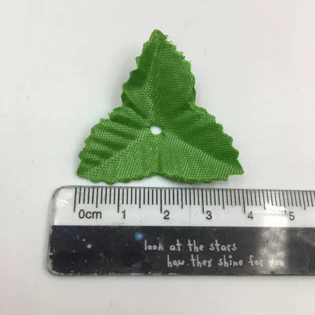 4 Green Triangle leaf