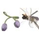 tulip bow hairpin accessories duckbill clip with hair accessories accessories hairpin accessories clothes small decoration diy