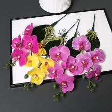 С4^m滨3DzƬPUָмٻԲ廨ҾӔ[b컨