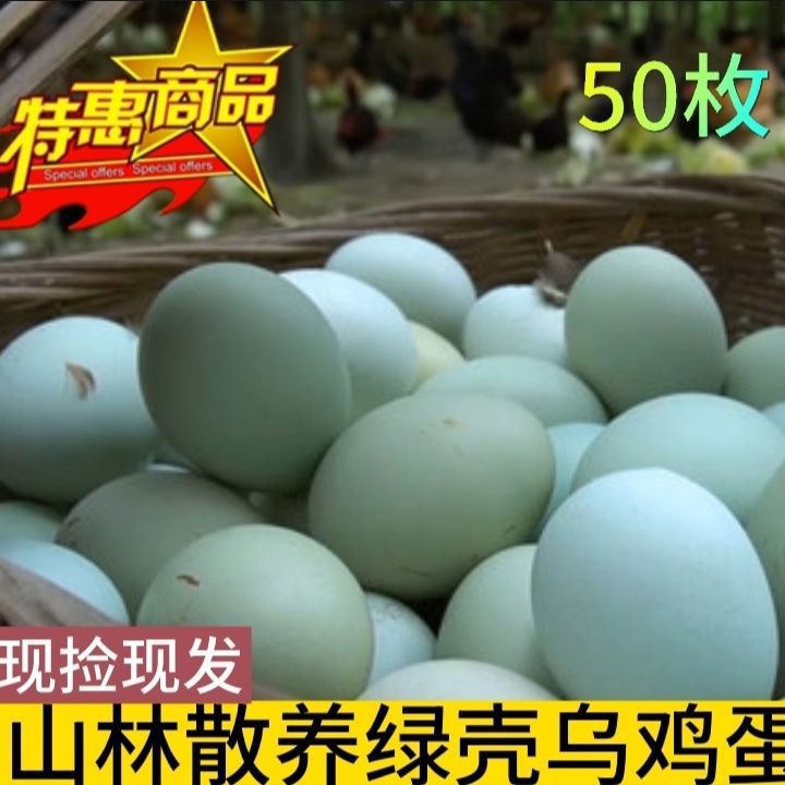 绿壳鸡蛋特级原生态绿皮鸡蛋月子食用土鸡蛋散养绿壳乌鸡蛋