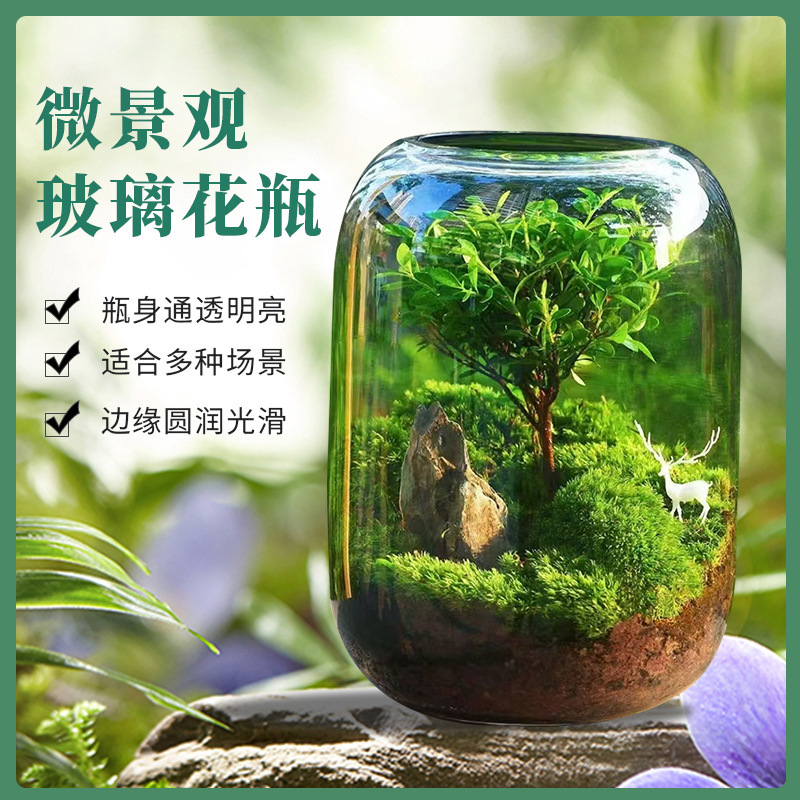Creative Glass Fish Tank Moss Landscaping Micro-Landscape Green Plants Flower Vase Bonsai Potted Plants Home Entrance Desktop Decoration Creative Glass Fish Tank Moss Landscaping Micro-Landscape Green Plants Flower Vase Bonsai Potted Plants Home Entrance Desktop Decoration