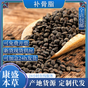 �a��֬�ڹ��Ӻ����Ӱ��]�oѬ���ș�z��ș�Ĵ�����䱳��ș�Ĵ�ȫ
