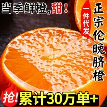 正宗伦晚脐橙春橙秭归橙子新鲜水果整箱果汁甜榨汁用大果产地直发