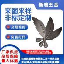 厂家支持来图来样非标定制不锈钢精铸件摆件饰品五金件黄铜碳钢等
