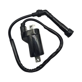 点火线圈;电子调节器;点火器