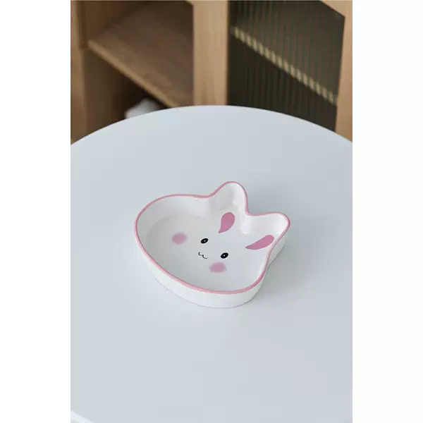 Bunny Rabbit Disculs-Fan
