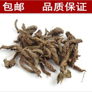 ��ș�ļt��� ��Ȼ��ɼtѿ��� �t����� �ϴ��