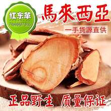 |ﰢ500gɽt|ƬݾșaƷ]؛1؛؛