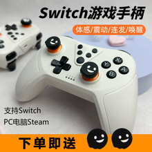 Switch�Α��ֱ�NsPro�o���{���w�������о�PC��Xsteam�pӰ�澳